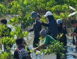 Rayakan HUT Ke-6, Rappo Indonesia Gelar “Beyond The Waste”: Libatkan 115 Relawan Tanam 500 Mangrove di Untia