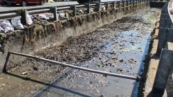 Respon Cepat Aduan Warga via Lontara Plus, Satgas PU Makassar Normalisasi Saluran di Jalan Pengayoman